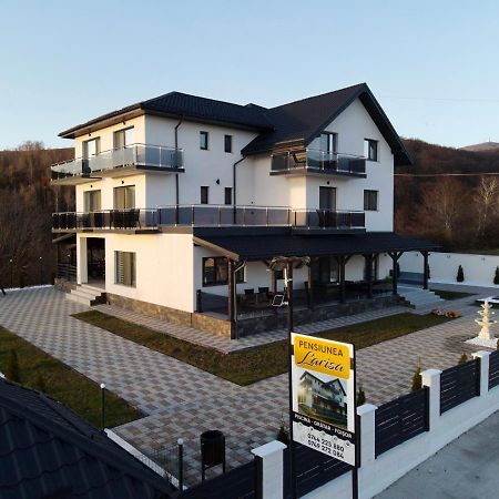 Casa De Vacanta Larisa Novaci-Străini Exterior foto