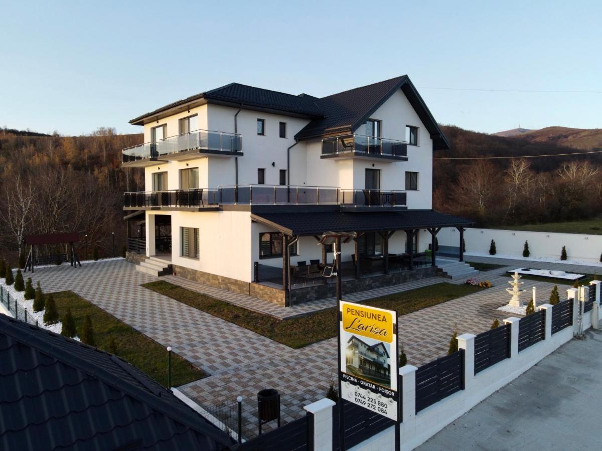 Casa De Vacanta Larisa Novaci-Străini Exterior foto