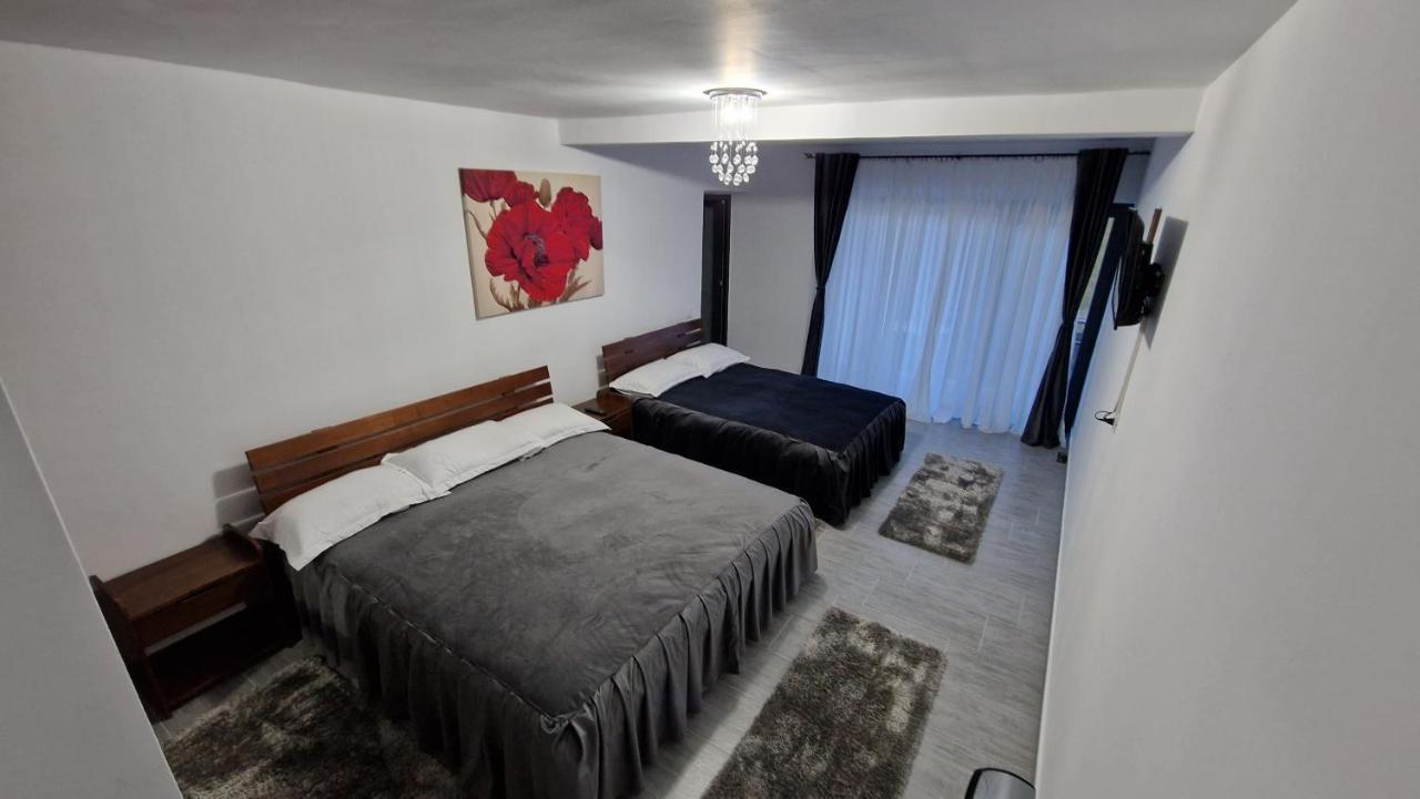 Casa De Vacanta Larisa Novaci-Străini Exterior foto