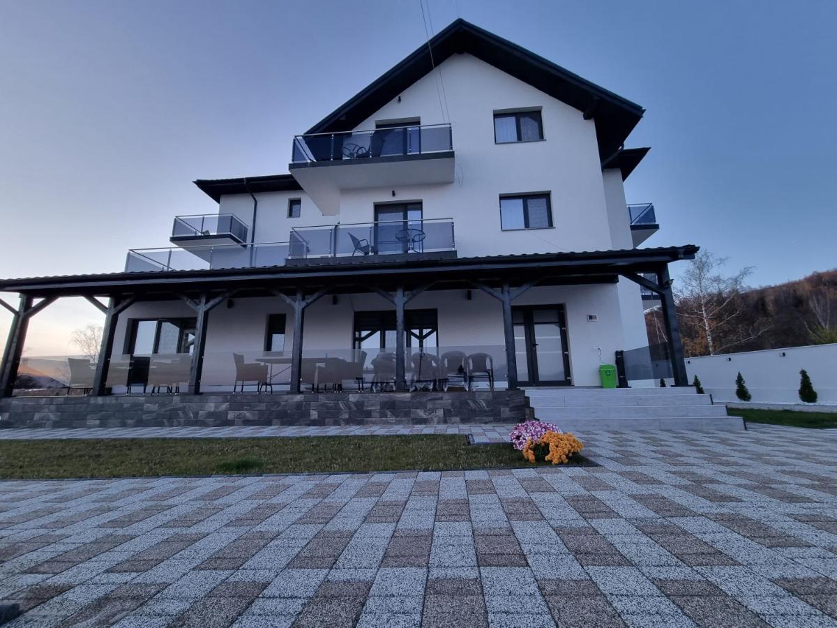 Casa De Vacanta Larisa Novaci-Străini Exterior foto